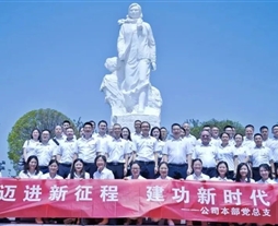 公司本部党总支开展主题党日活动